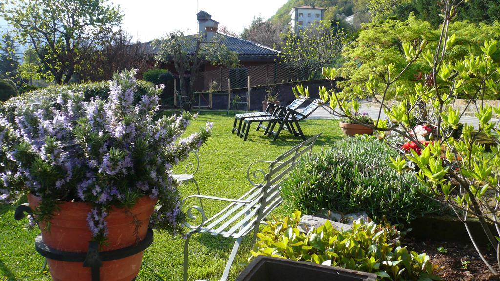 Casa Beatrice Appartement Oliveto Lario Buitenkant foto